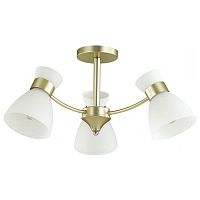 Люстра на штанге Lumion Wilma 4535/3C
