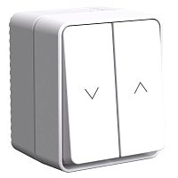 Выключатель для жалюзи 2-кл. ОП AtlasDesign PROFI 10А IP54 бел. SE ATN540119