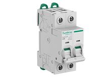 Выключатель автоматический 2п C 40А 6кА Systeme9 400В SE S9F22240