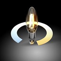 Лампа светодиодная с управлением через Wi-Fi Elektrostandard Умная лампа Свеча F E14 5Вт 3300, 4200, 6500K BLE1437