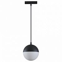 Подвесной светильник Maytoni Track lamps TR018-2-10W4K-B