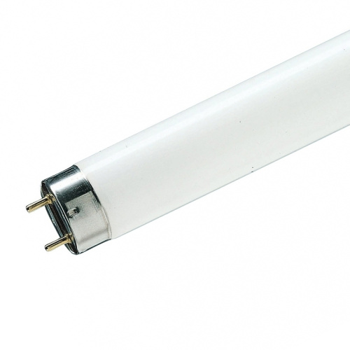 Люминесцентная лампа Philips 928048003351 TL-D 18W/33-640 18Вт T8 4100К G13 604мм