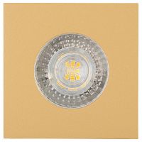 Встраиваемый светильник Denkirs DK2031-CO