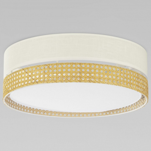 Накладной светильник TK Lighting Paglia 6690 Paglia