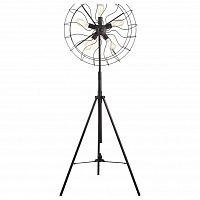 Торшер Divinare Cottero 5002/05 PN-5