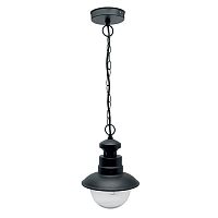 Подвесной уличный светильник Feron11598 PL575 E27 черный IP44