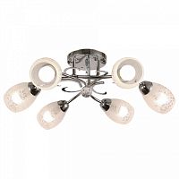 Потолочная люстра Arte Lamp Grace A2004PL-6CC