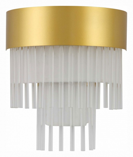 Накладной светильник ST-Luce Aversa SL1352.201.01