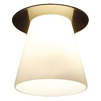 Встраиваемый светильник Arte Lamp Cool Ice 2 A8550PL-1AB
