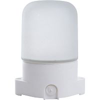 Светильник для бани и сауны Feron 41406 НББ 01-60 E27 IP65