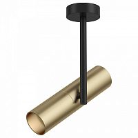 Спот Maytoni Elti C020CL-01GB