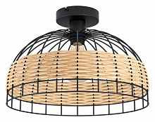 Накладной светильник Eglo Anwick 43398