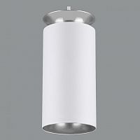 Подвесной светильник Elektrostandard DLS021 a045502